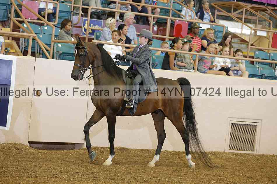Proof 14yn_07424
