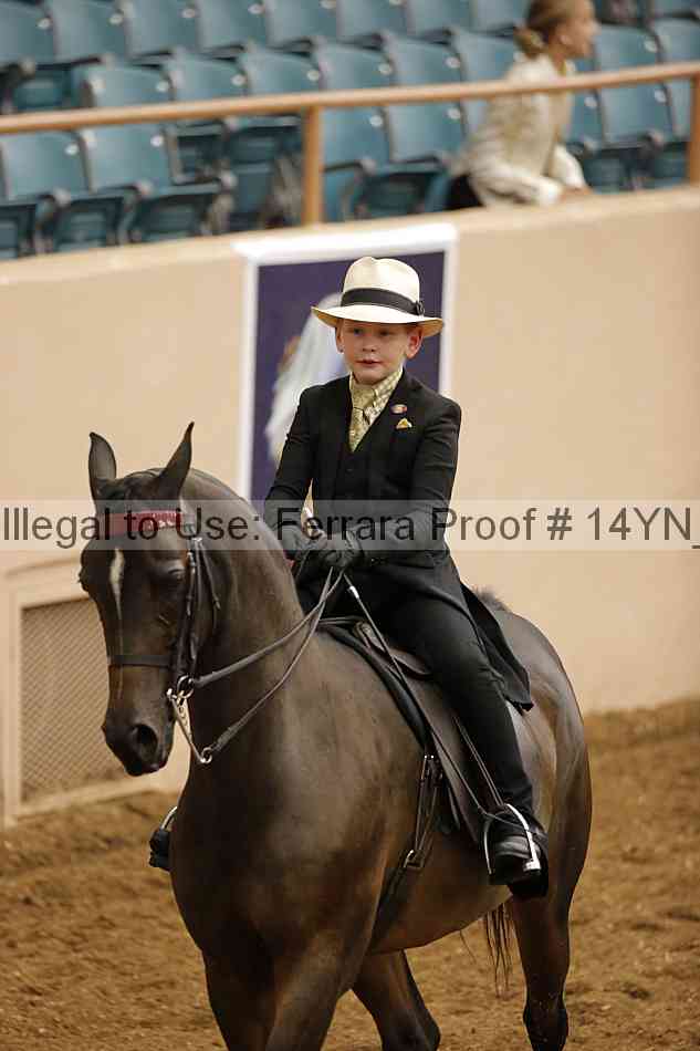 Proof 14yn_07437
