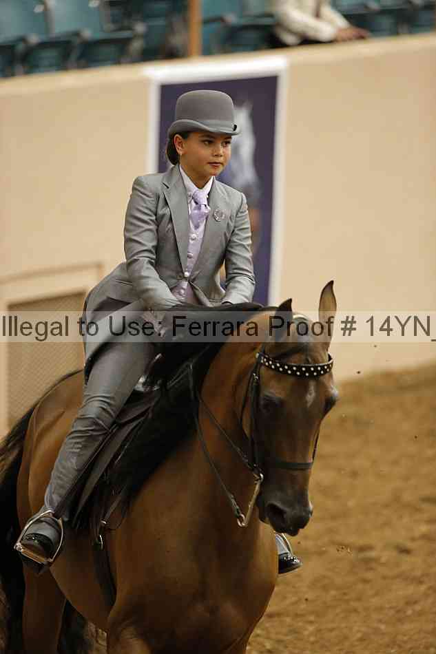 Proof 14yn_07445