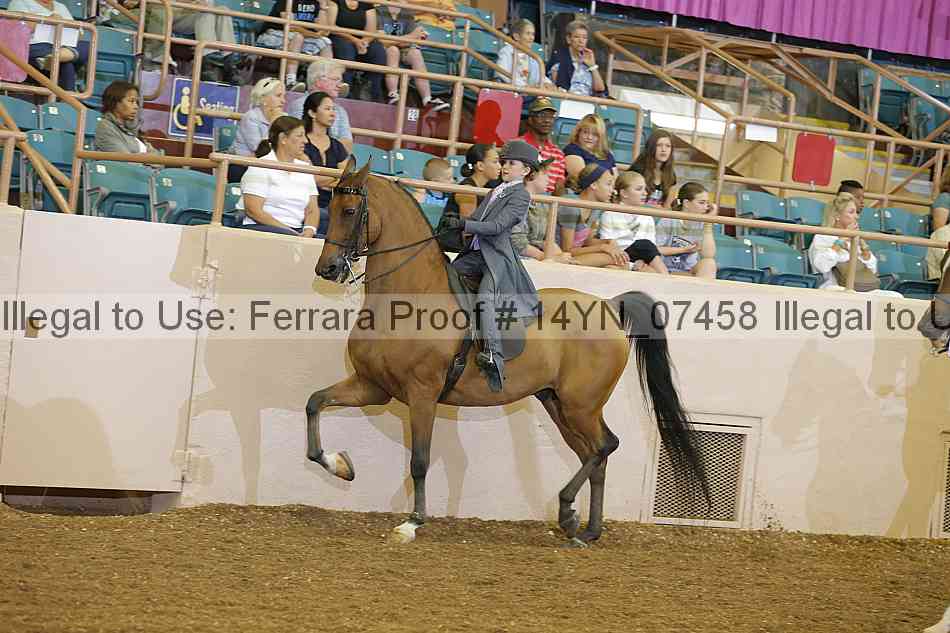 Proof 14yn_07458