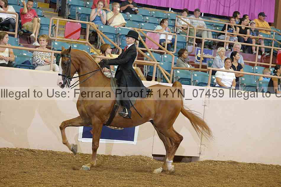 Proof 14yn_07459