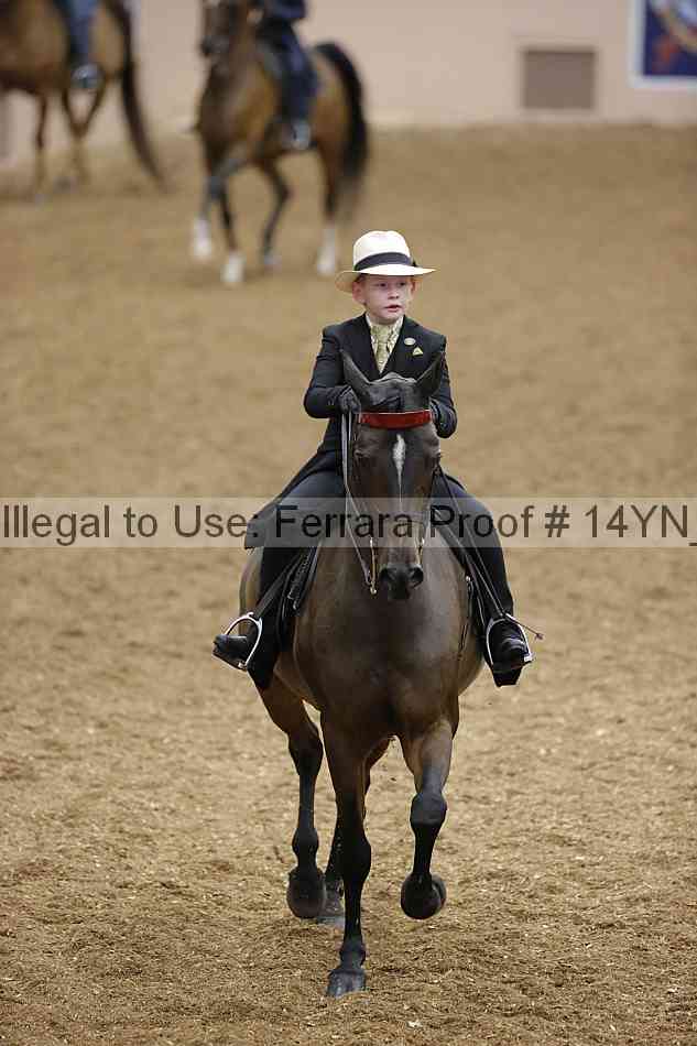 Proof 14yn_07467