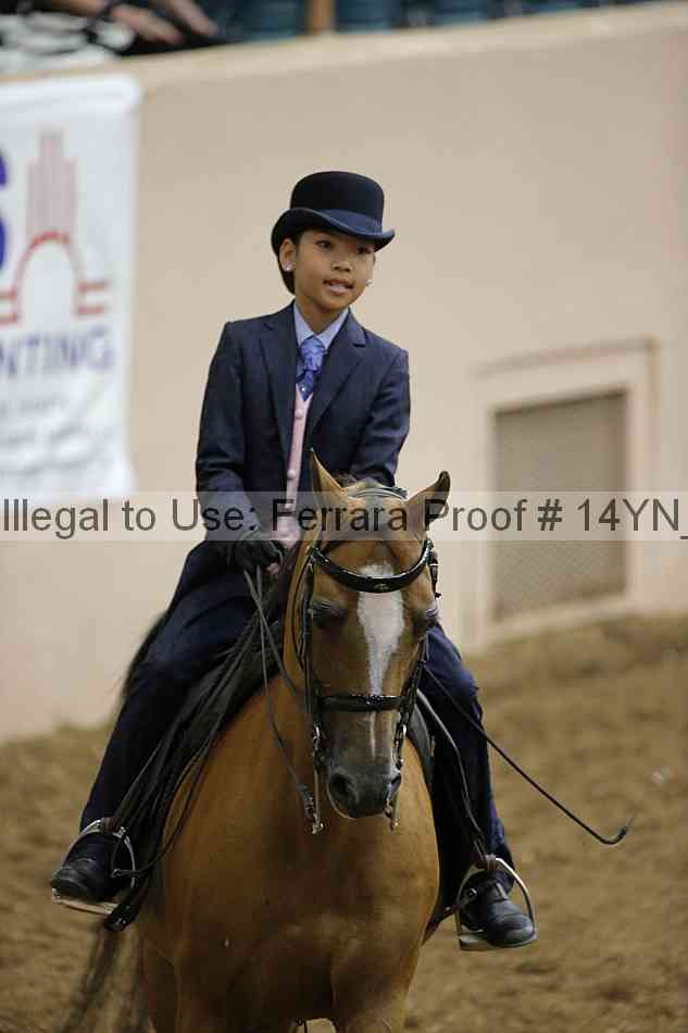 Proof 14yn_07468