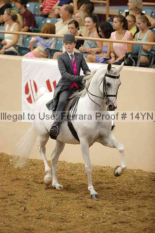 Proof 14yn_07471