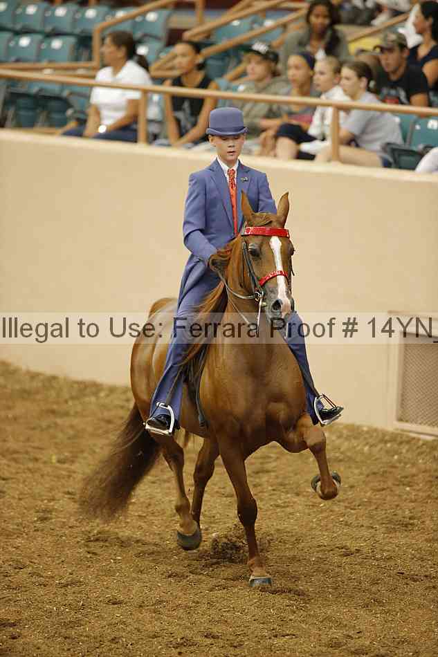 Proof 14yn_07473