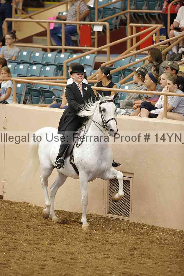 Proof 14yn_07481