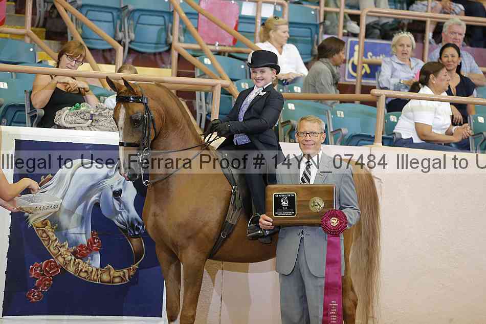Proof 14yn_07484
