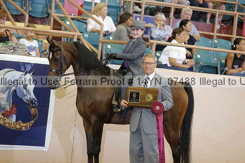 Proof 14yn_07488