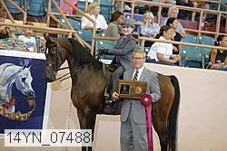 14yn_07488 proof