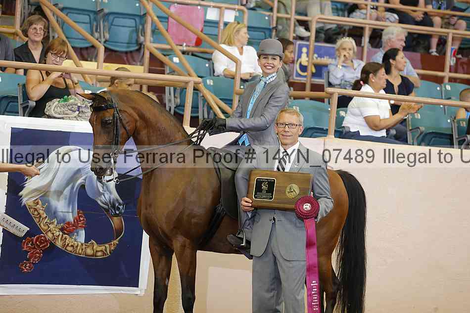 Proof 14yn_07489