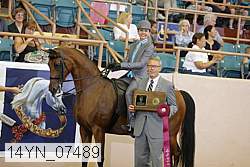 14yn_07489 proof
