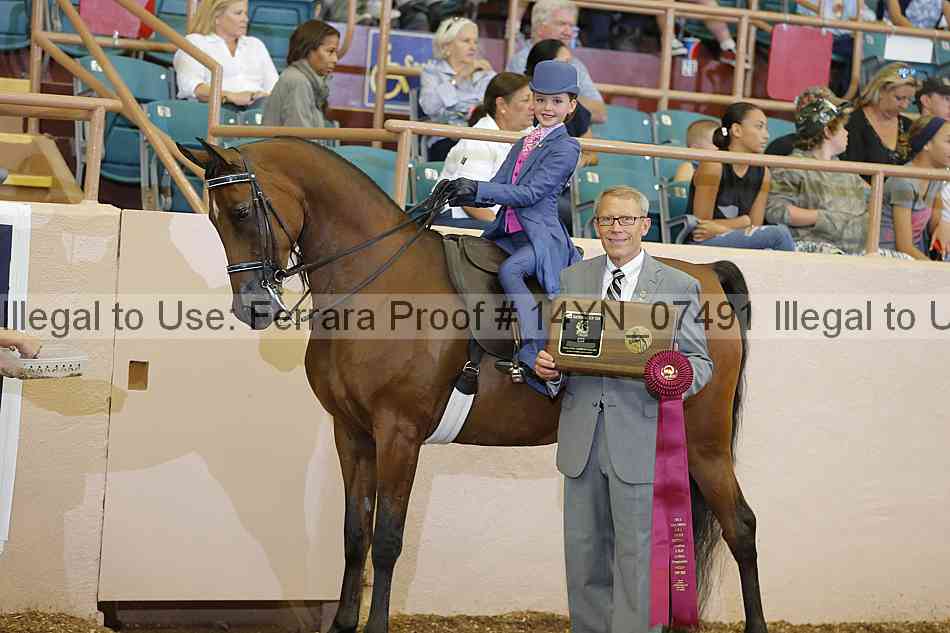 Proof 14yn_07491