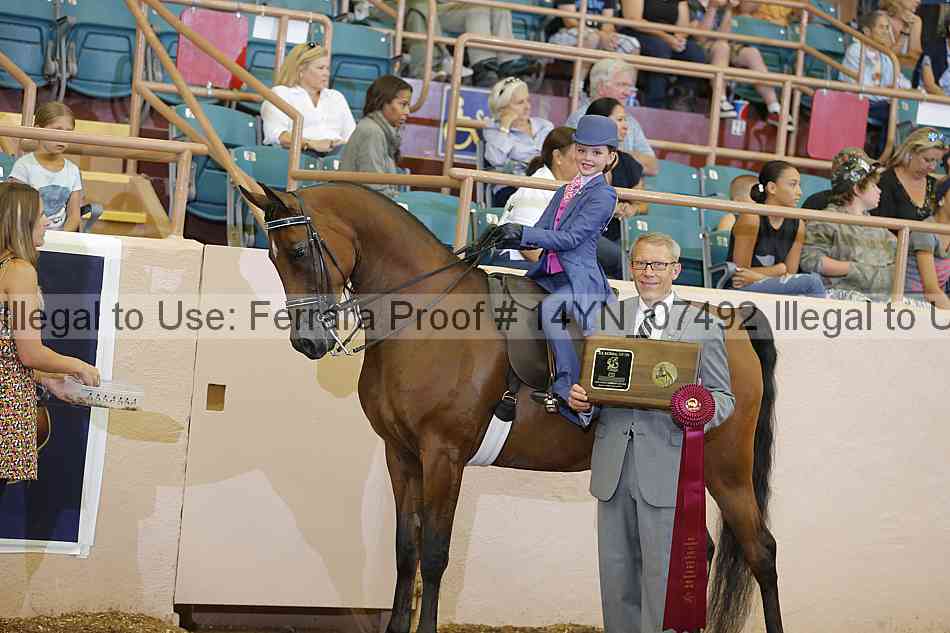 Proof 14yn_07492