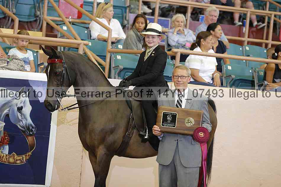 Proof 14yn_07493