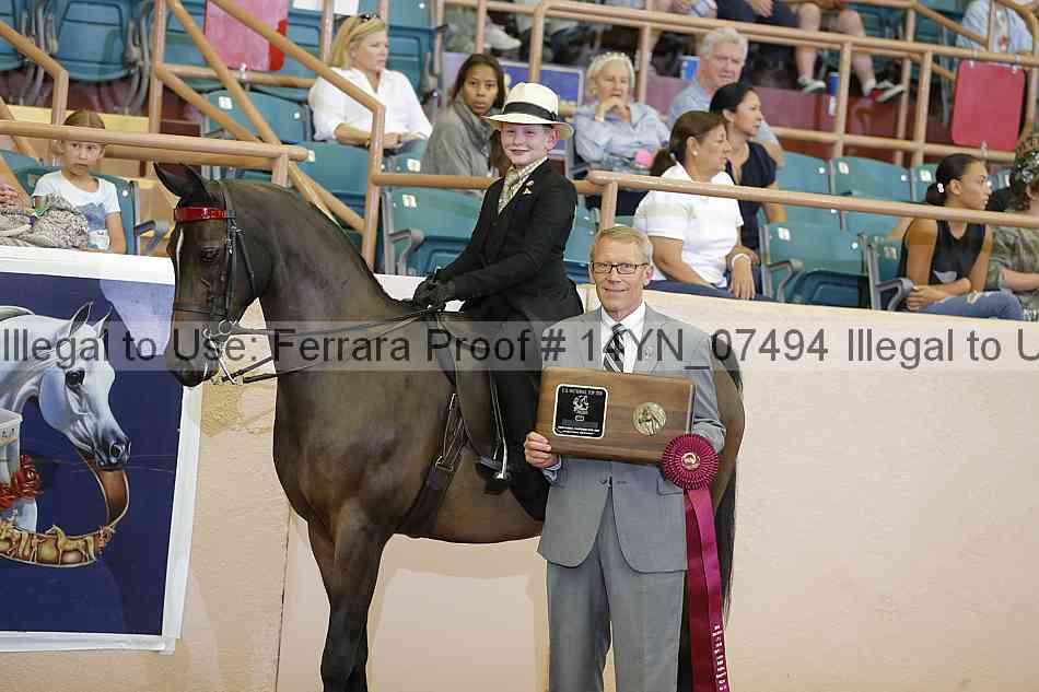 Proof 14yn_07494