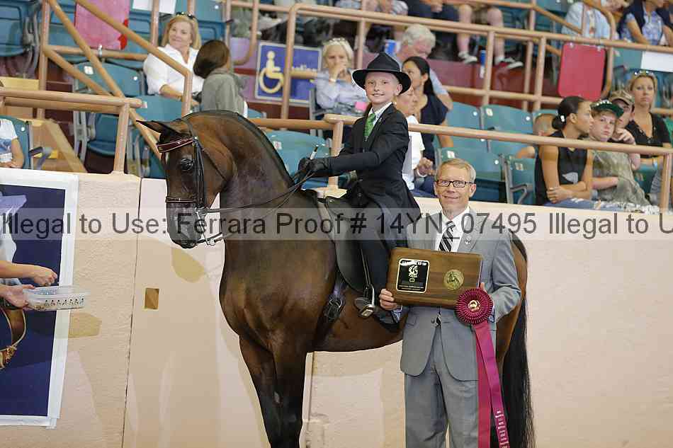 Proof 14yn_07495