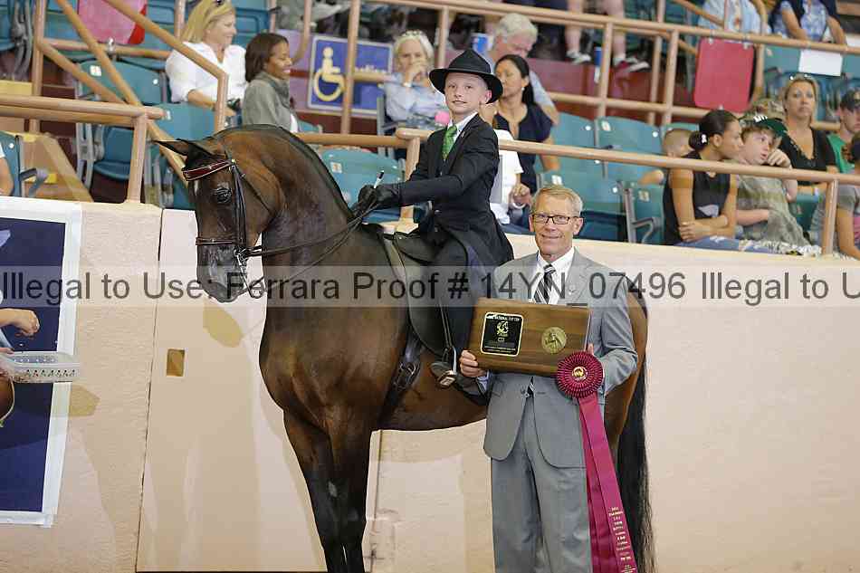 Proof 14yn_07496
