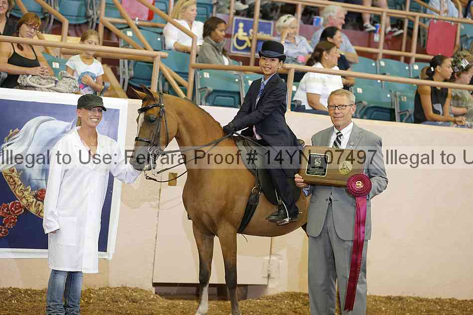 Proof 14yn_07497