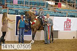 14yn_07505 proof