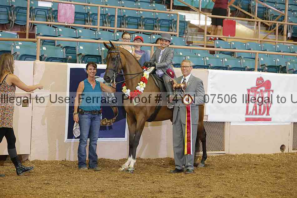 Proof 14yn_07506