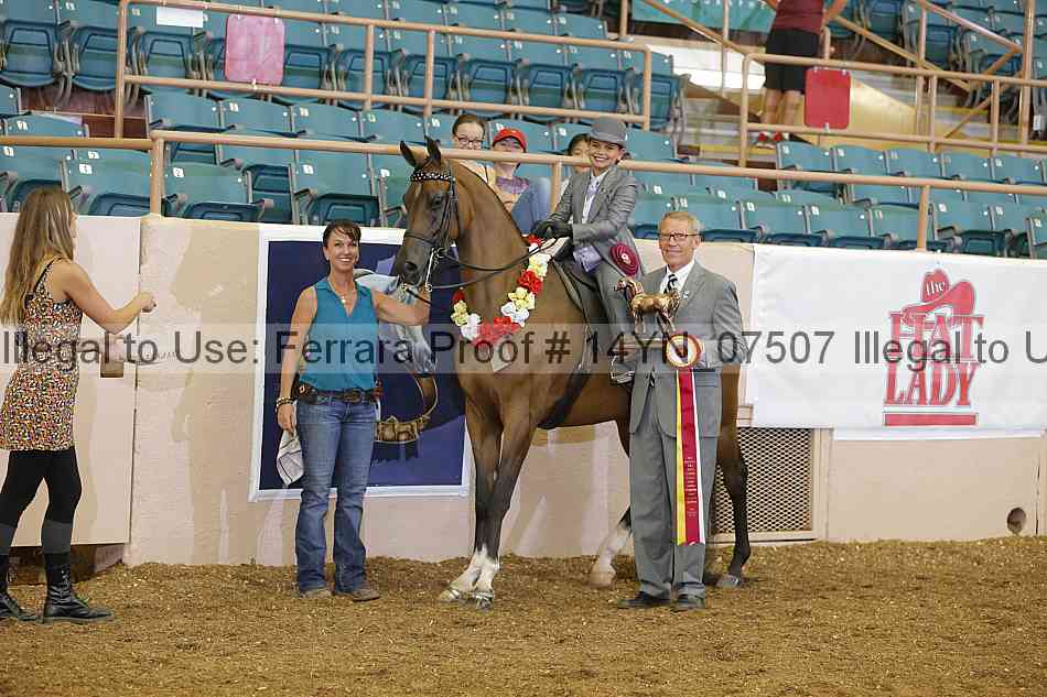 Proof 14yn_07507
