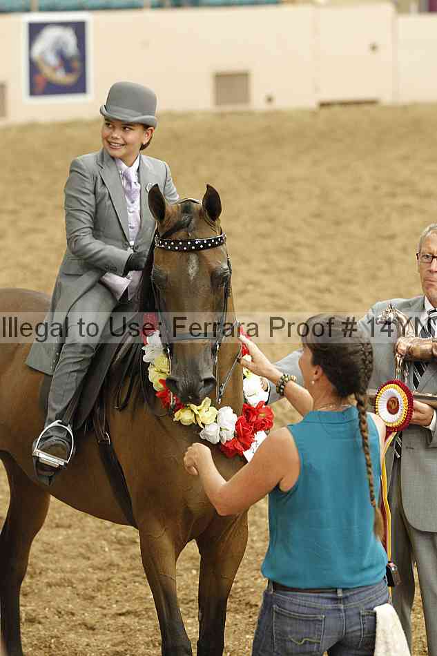 Proof 14yn_07509