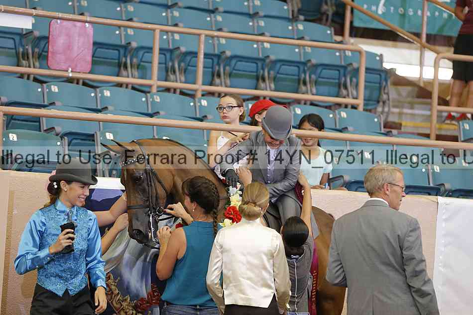 Proof 14yn_07511