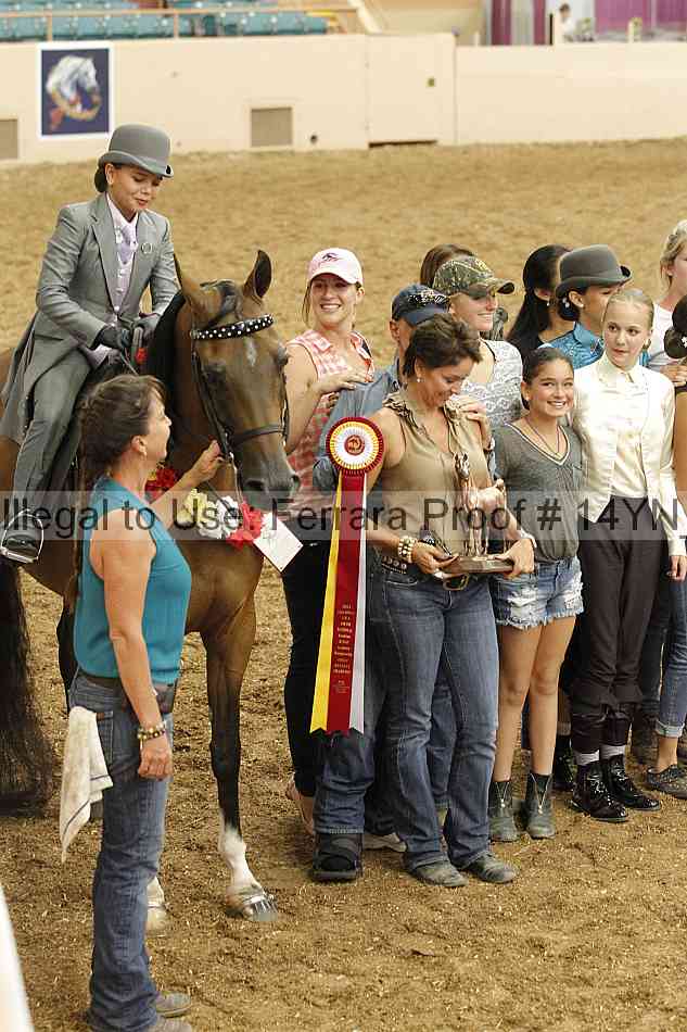 Proof 14yn_07529