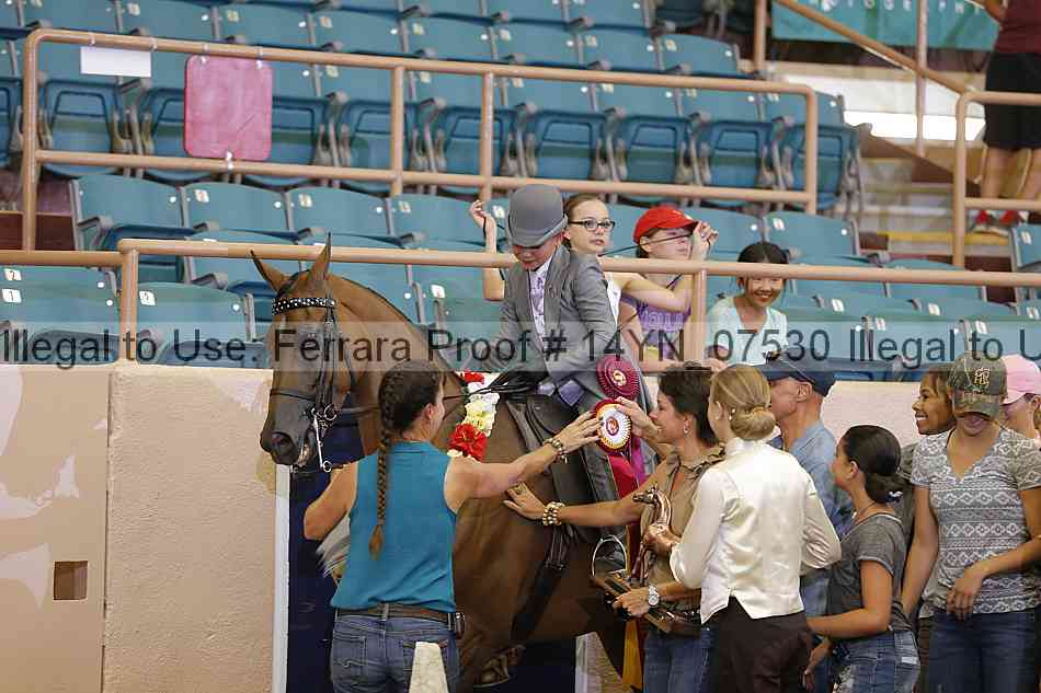 Proof 14yn_07530