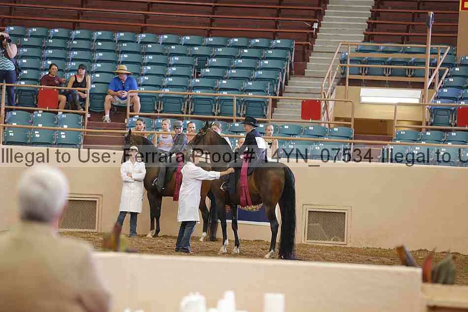Proof 14yn_07534