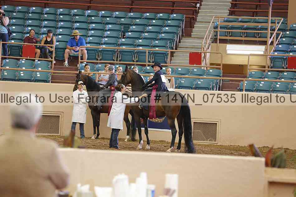 Proof 14yn_07535