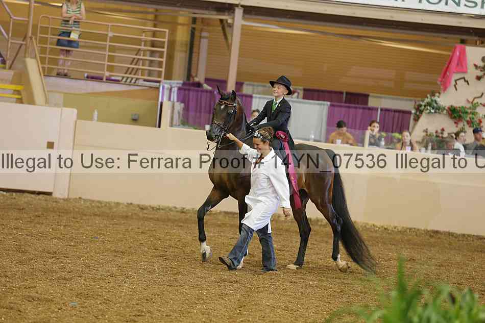 Proof 14yn_07536