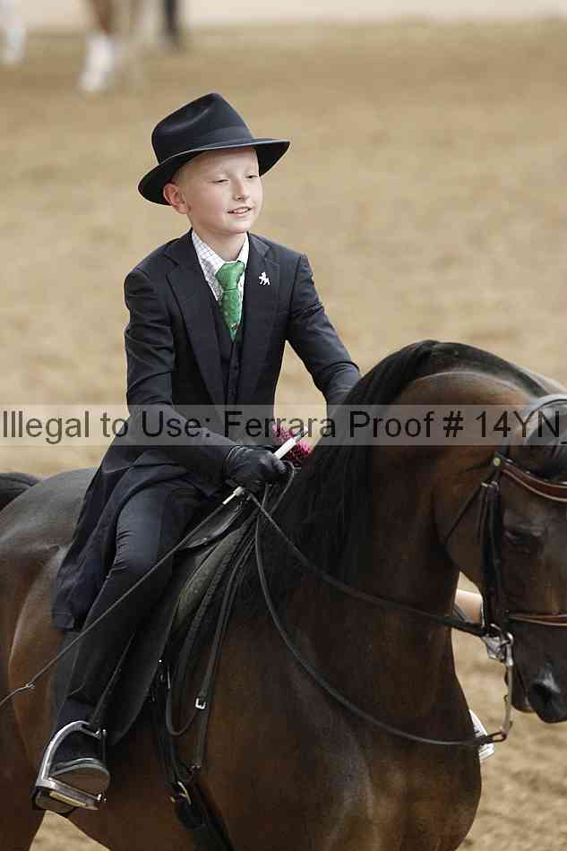 Proof 14yn_07539