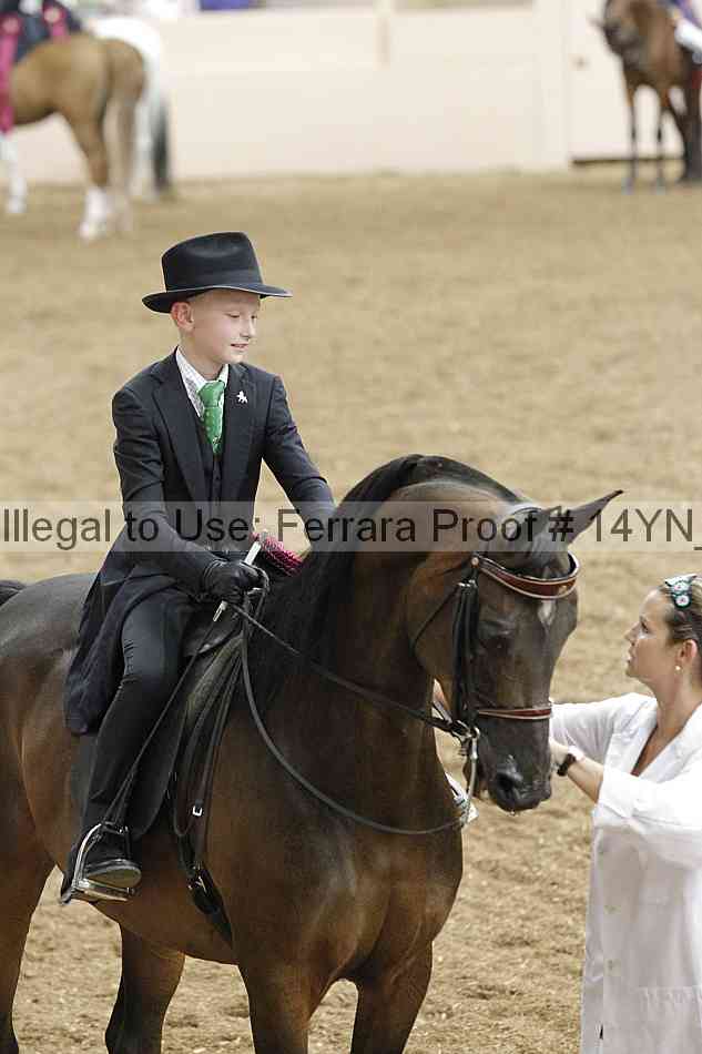 Proof 14yn_07540