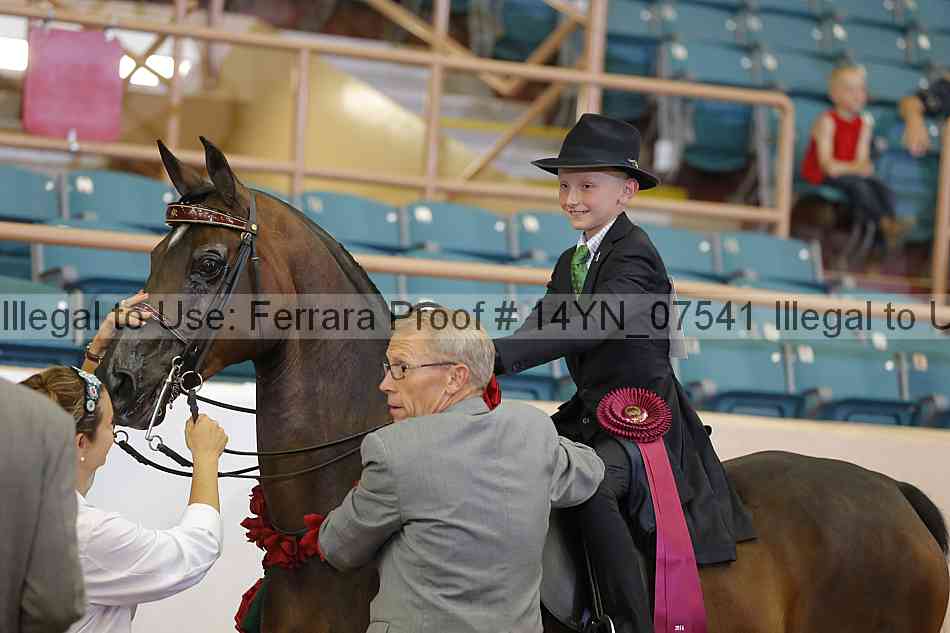 Proof 14yn_07541