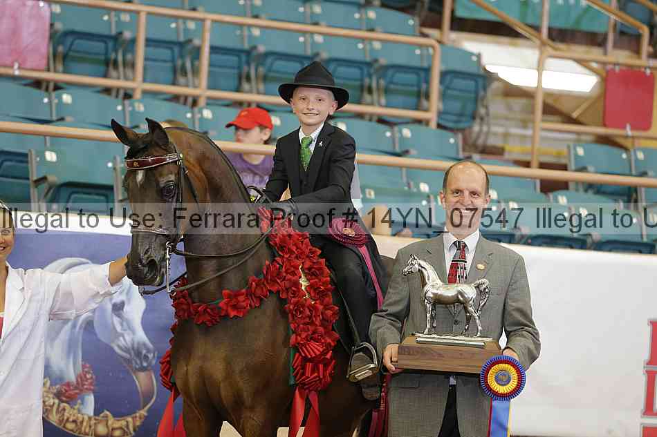 Proof 14yn_07547