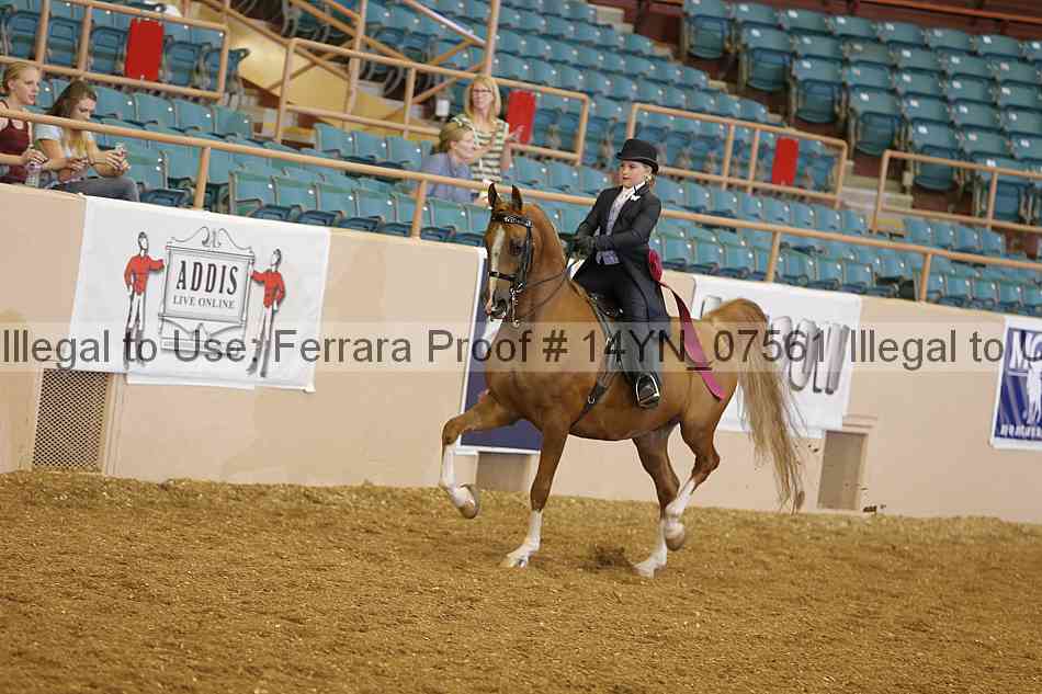 Proof 14yn_07561