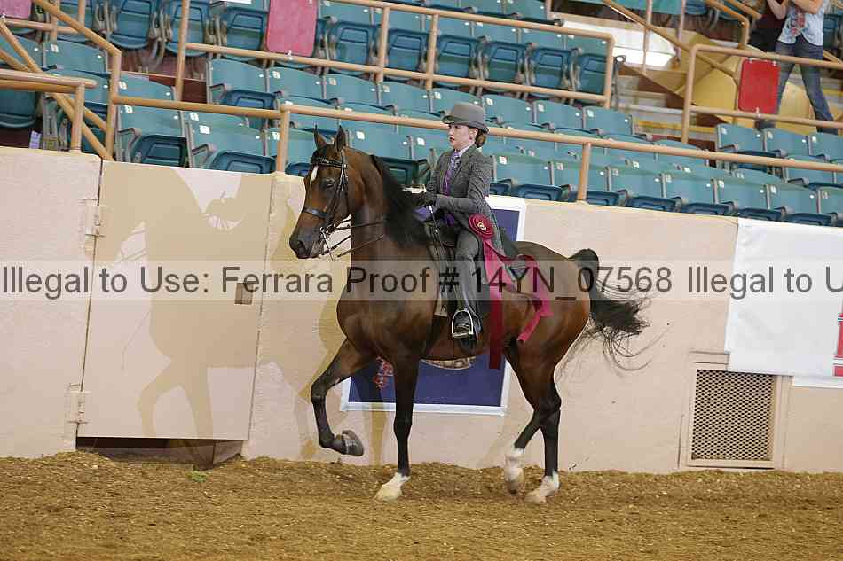Proof 14yn_07568
