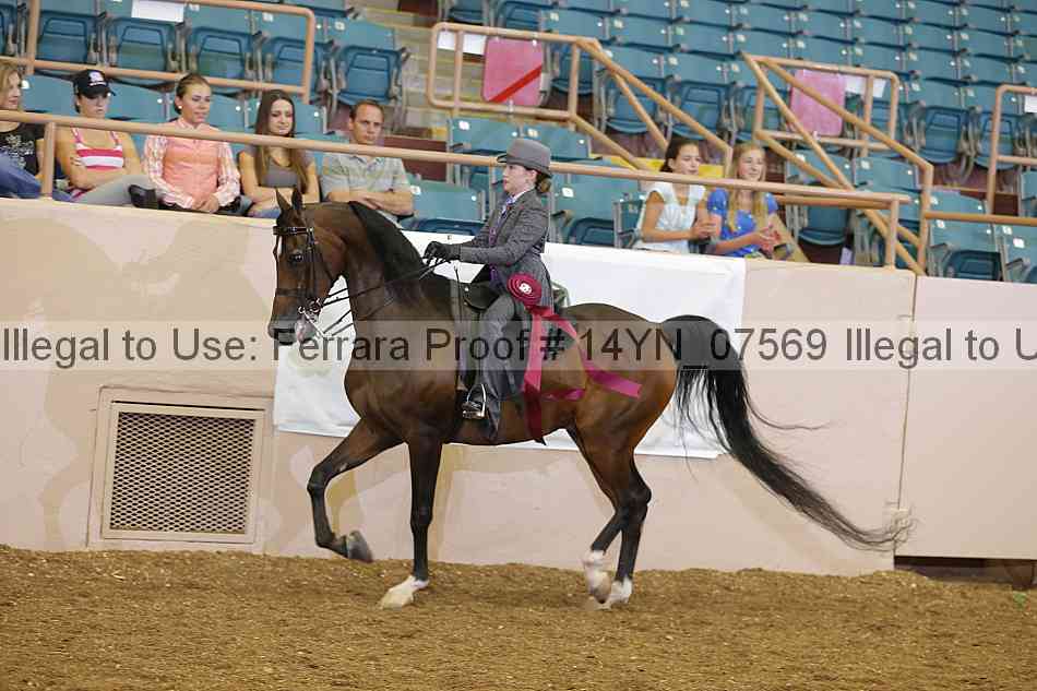 Proof 14yn_07569