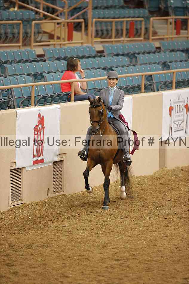 Proof 14yn_07572