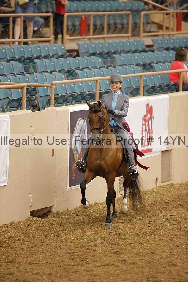 Proof 14yn_07573