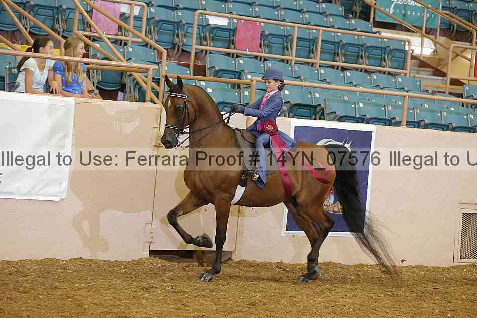 Proof 14yn_07576