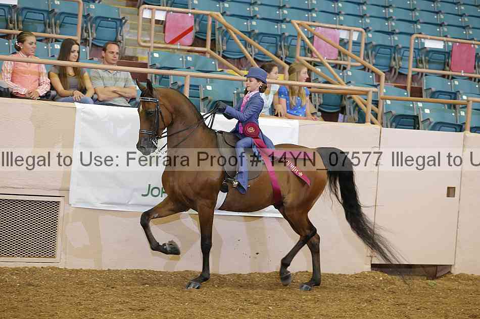 Proof 14yn_07577