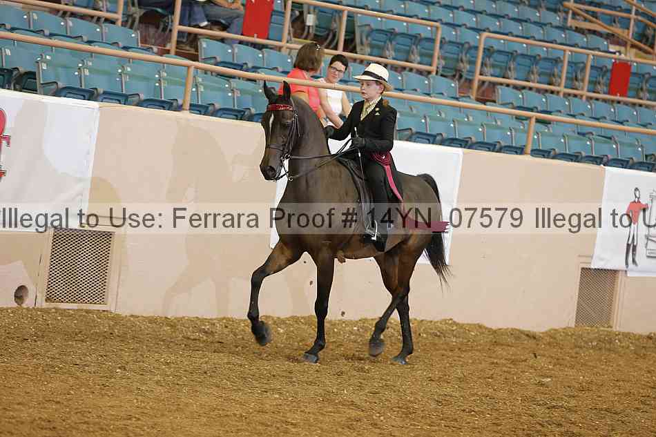 Proof 14yn_07579