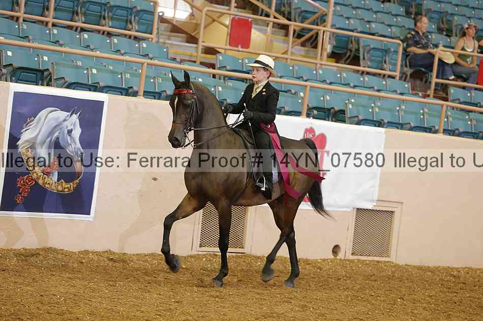 Proof 14yn_07580