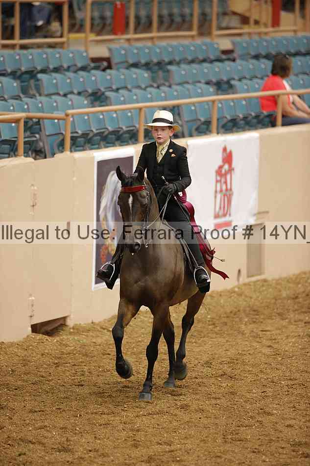 Proof 14yn_07582
