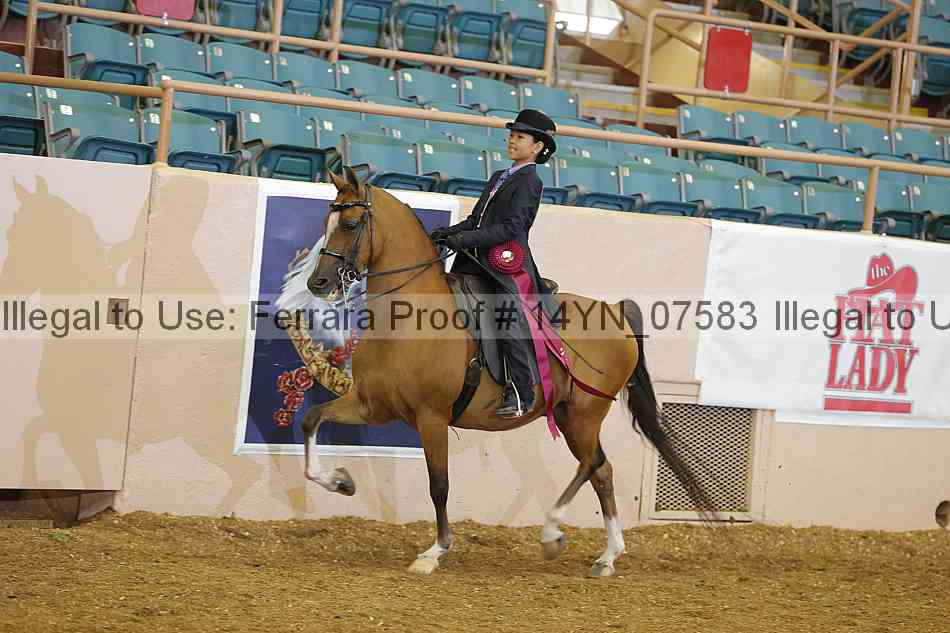 Proof 14yn_07583