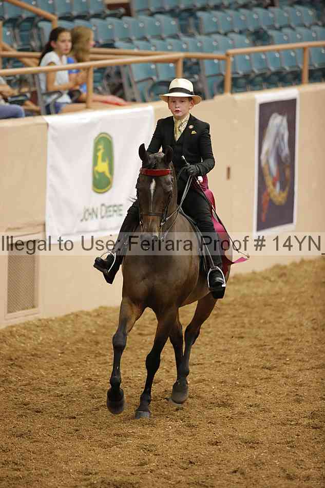 Proof 14yn_07584