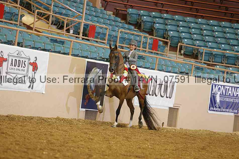 Proof 14yn_07591