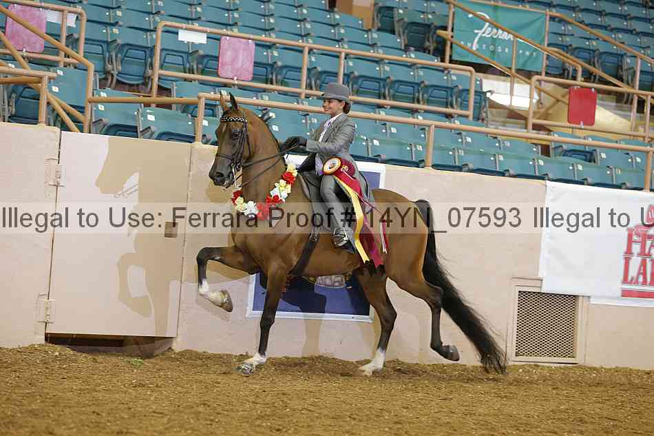 Proof 14yn_07593